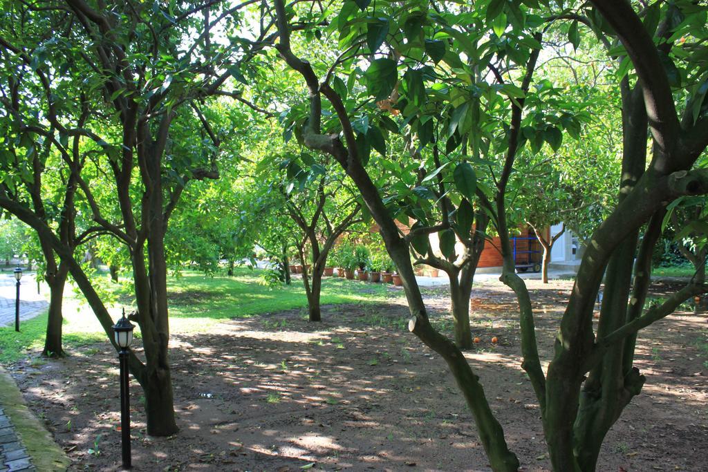 Yildiz Pension Bungalows Çıralı Exteriér fotografie