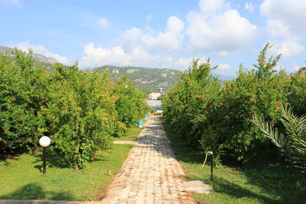 Yildiz Pension Bungalows Çıralı Exteriér fotografie