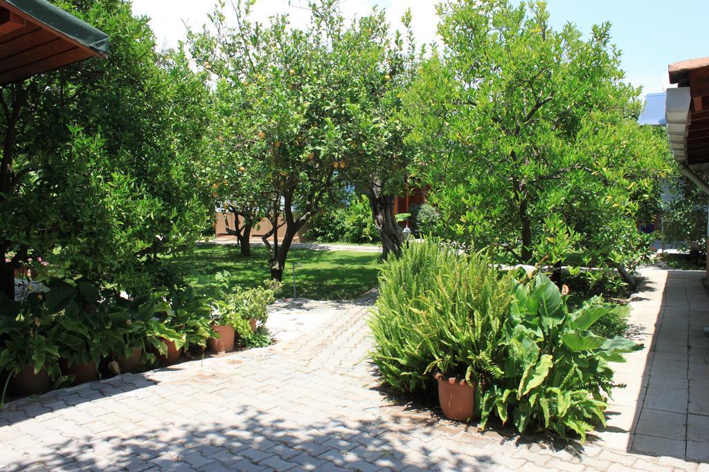 Yildiz Pension Bungalows Çıralı Exteriér fotografie