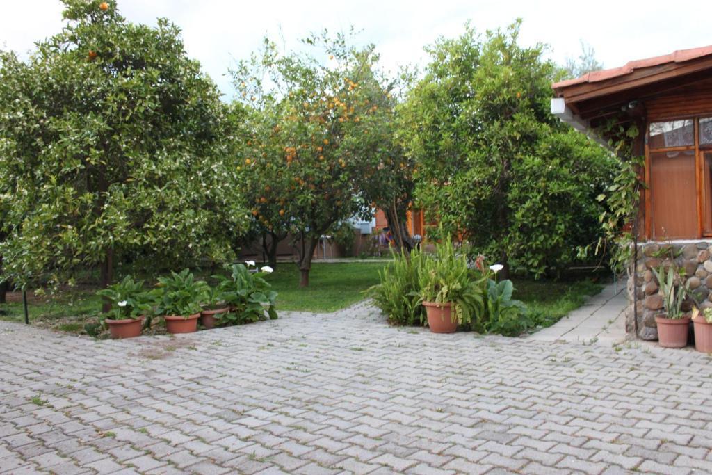 Yildiz Pension Bungalows Çıralı Exteriér fotografie